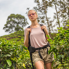 Image showing Active caucasian blonde woman enjoing fresh air and pristine nature while tracking among tea plantaitons near Ella, Sri Lanka. Bacpecking outdoors tourist adventure