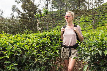 Image showing Active caucasian blonde woman enjoing fresh air and pristine nature while tracking among tea plantaitons near Ella, Sri Lanka. Bacpecking outdoors tourist adventure