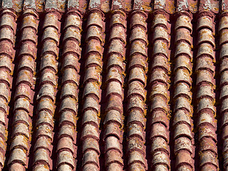 Image showing Roof Tiles in Andalucia