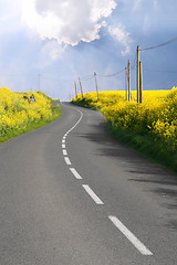 Image showing Through the rape fields