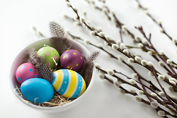 Image showing colored easter eggs and pussy willow branches