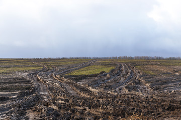 Image showing road in a field