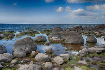 Image showing Baltic sea coast in summer vacation