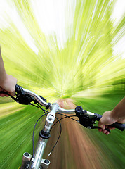 Image showing Mountain biking in the forest