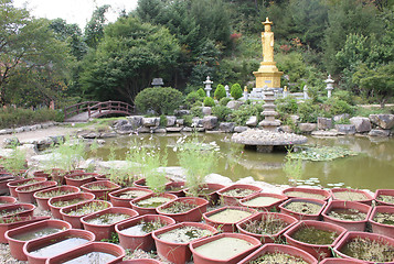 Image showing Temple grounds