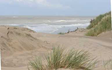 Image showing Dunes