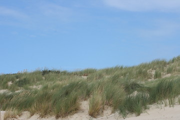 Image showing Dunes 
