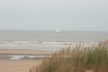 Image showing dune