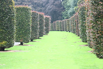 Image showing green lawn away