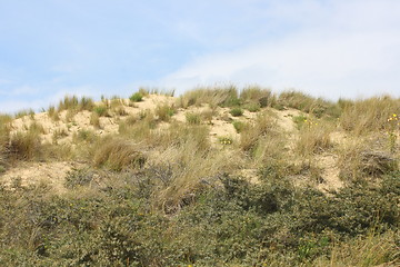 Image showing dune