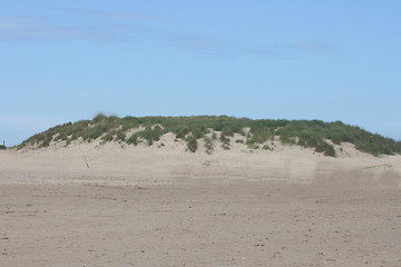 Image showing dune