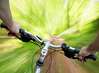 Image showing Mountain biking in the forest