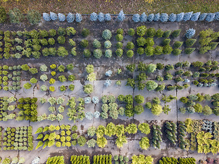 Image showing Bird eyes view from drone above garden center.