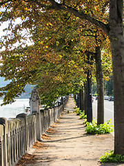 Image showing Stone riverfront with autumn trees in the city.