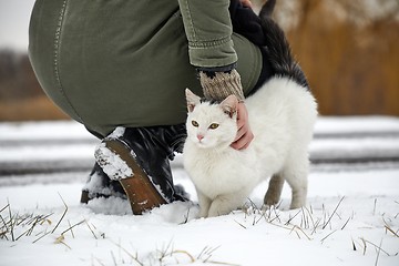 Image showing Cat in winter snow