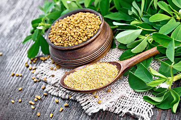 Image showing Fenugreek in spoon and bowl with green leaves on table