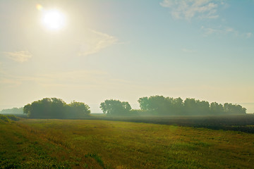 Image showing Morning landscape with fog