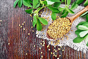 Image showing Fenugreek in spoon with leaves on board top