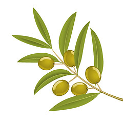 Image showing Olive branch