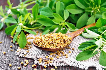 Image showing Fenugreek in spoon with leaves on dark board