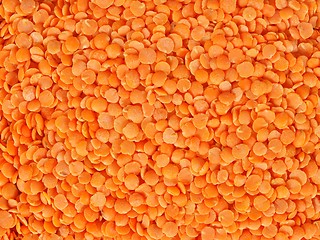Image showing Lens beans macro