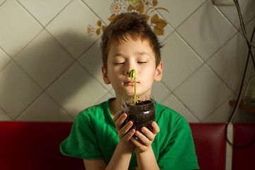 Image showing Boy with chickenpox grow plant