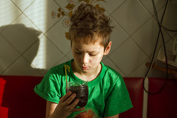 Image showing Boy with chickenpox grow plant