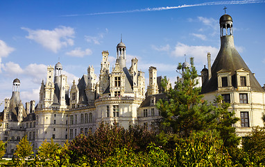 Image showing Chateau de Chambord from the gardens