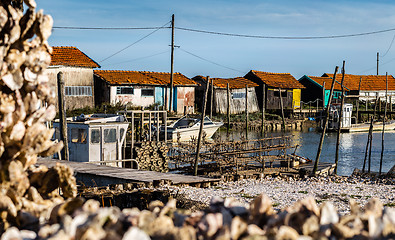 Image showing La Tremblade, famous Oyster farming harbour in France