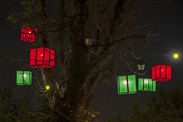 Image showing Paper lanterns on a trees as beautiful decoration