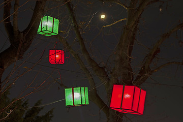 Image showing Paper lanterns on a trees as beautiful decoration