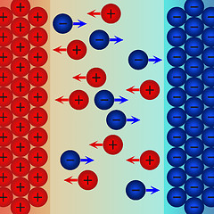 Image showing Ions movement to negative electrode and positive electrode