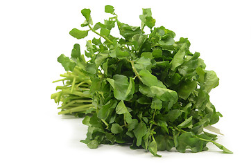 Image showing Freshly picked organic watercress