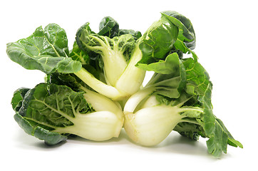 Image showing Milk cabbage bok choy