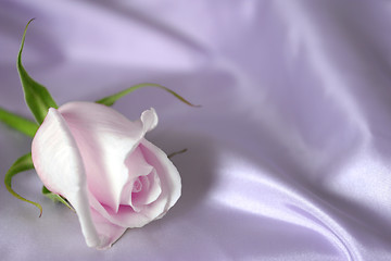 Image showing rose on satin