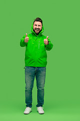 Image showing handsome bearded young man looking at camera isolated on green