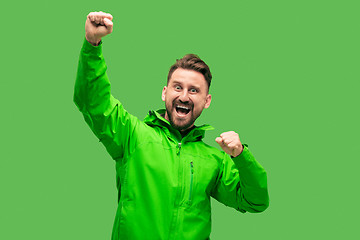 Image showing handsome bearded young man looking at camera isolated on green