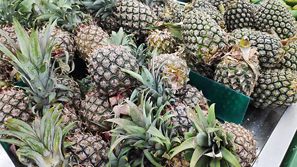Image showing Group of fresh of pineapple