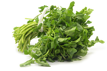 Image showing Freshly picked organic watercress