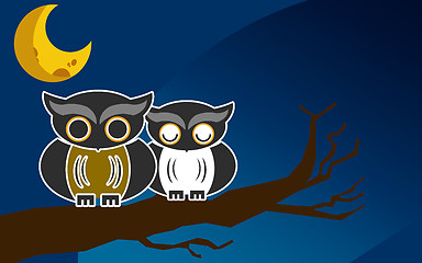 Image showing Owls on a brunch at night