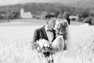 Image showing Bride and groom kissing and hugging tenderly in wheat field somewhere in Slovenian countryside.