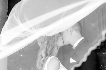 Image showing The kiss. Bride and groom kisses tenderly in the shadow of a flying veil. Artistic black and white wedding photo.