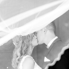 Image showing The kiss. Bride and groom kisses tenderly in the shadow of a flying veil. Artistic black and white wedding photo.