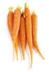 Image showing Carrots