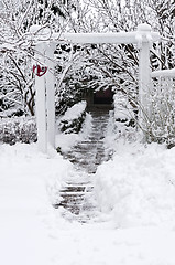 Image showing Winter garden