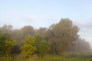 Image showing Fog mist landscape