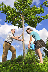 Image showing Planting a tree