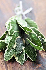 Image showing Bunch of fresh sage