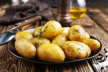 Image showing potato