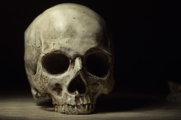 Image showing Skull of the reaper closeup photo